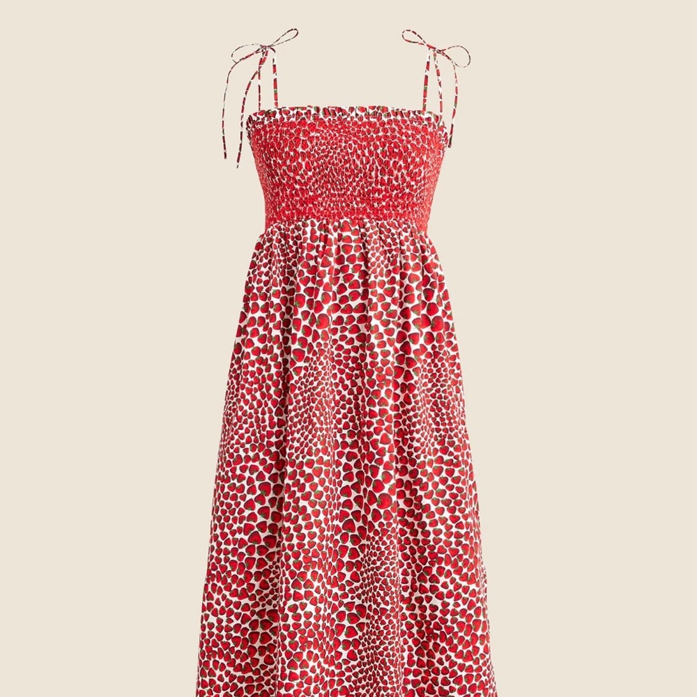 J. Crew Paloma Dress in Strawberry Print
